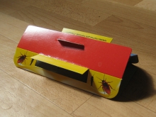 Фото: Домик-ловушка для тараканов с клейкой поверхностью внутри